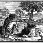 IL LUPO E L'AGNELLO