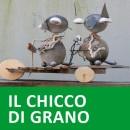chicco-grano