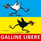 galline