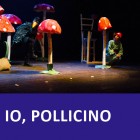 io-pollicino-copia