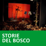 STORIE DEL BOSCO copia