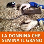 LA DONNINA