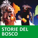 STORIE DEL BOSCO copia
