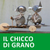 chicco-grano
