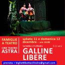 galline-sito-copia