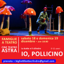 io-pollicino-copia