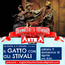 gatto-copia